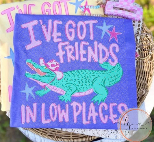 I've Got Friends in Low Places
