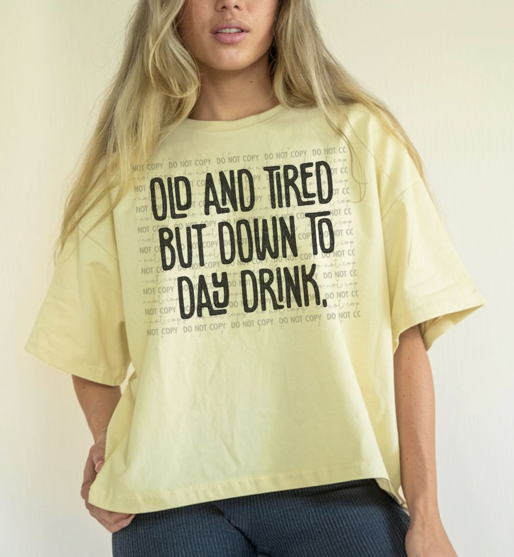 Snarky Humor T-Shirt ADULT
