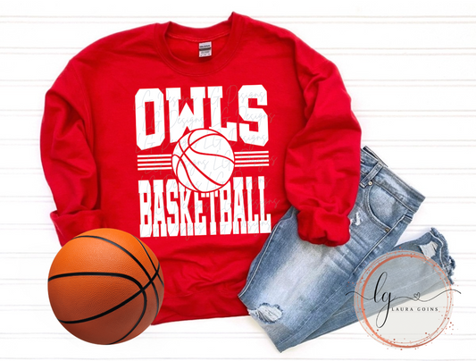 Owls Basketball